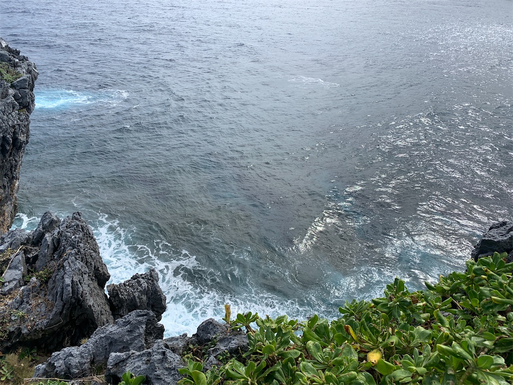 f:id:x68trap030:20210102112340j:plain