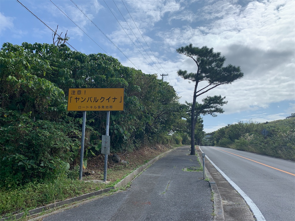 f:id:x68trap030:20210102112556j:plain