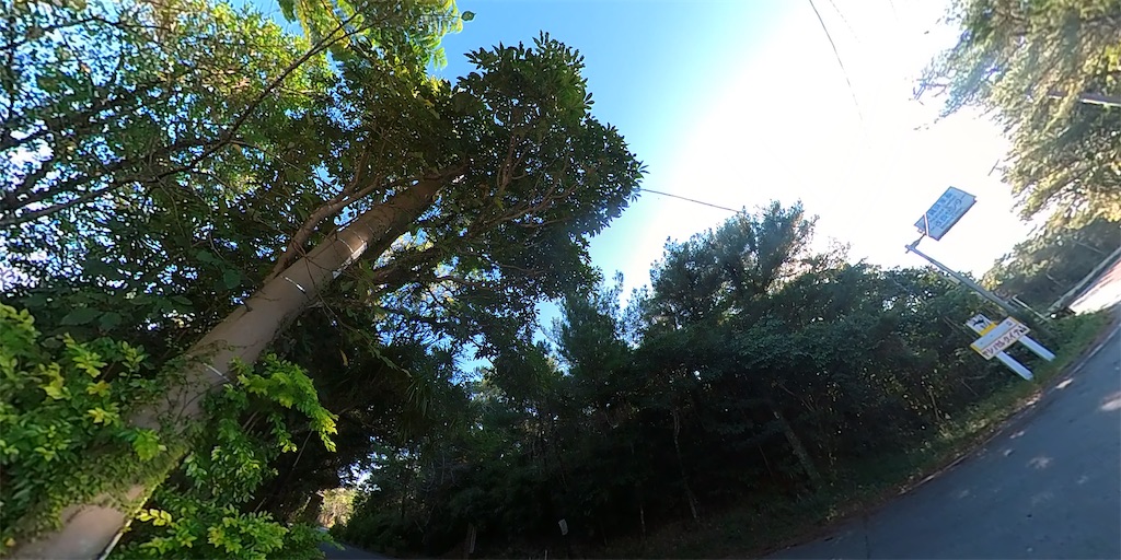 f:id:x68trap030:20210104132558j:plain