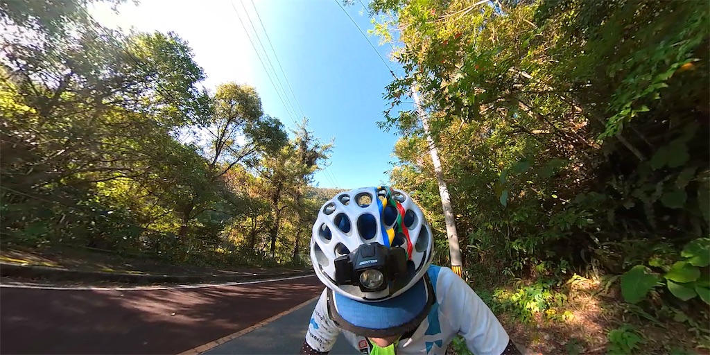 f:id:x68trap030:20210104132803j:plain