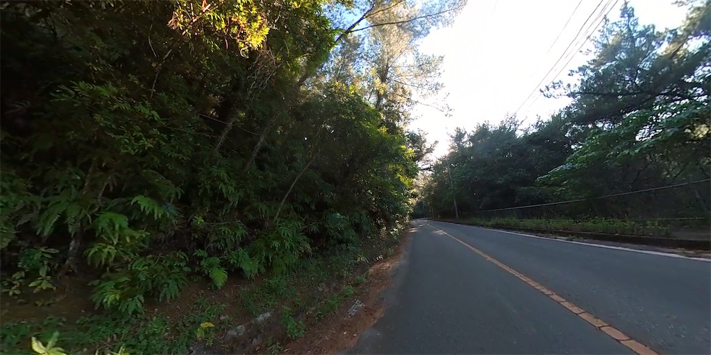 f:id:x68trap030:20210104132833j:plain