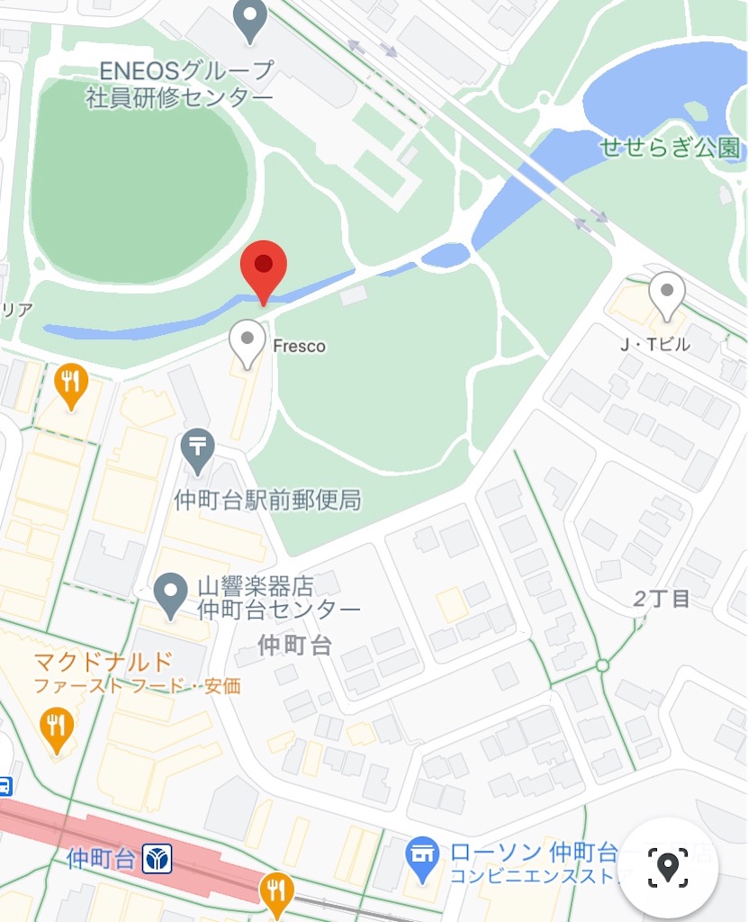 f:id:x68trap030:20210219123237j:plain