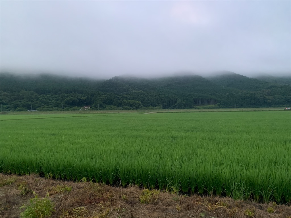 f:id:x68trap030:20210722144901j:plain