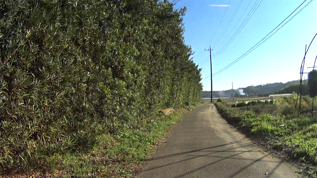 f:id:x68trap030:20211224205405p:plain