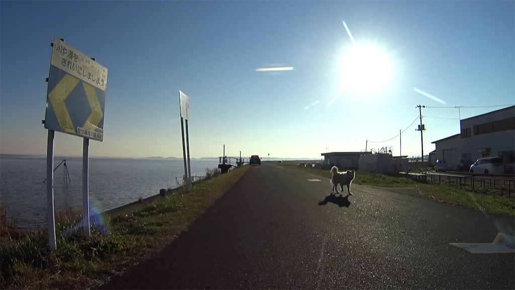 f:id:x68trap030:20211224213018p:plain