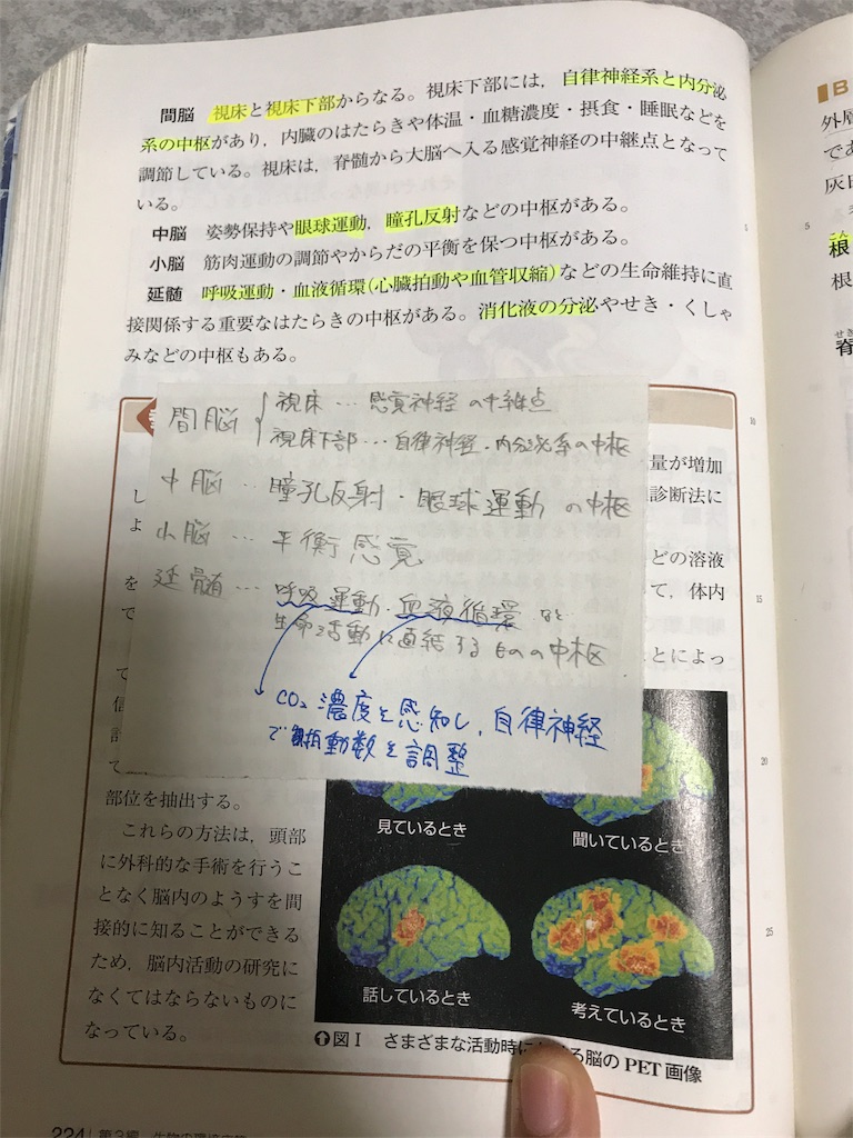 f:id:x7c4wta3:20180711222556j:image f:id:x7c4wta3:20180711222556j:image