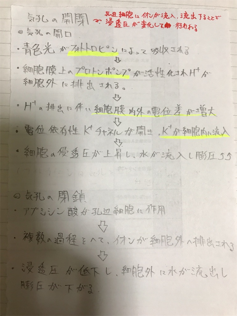f:id:x7c4wta3:20180716030939j:image f:id:x7c4wta3:20180716030939j:image
