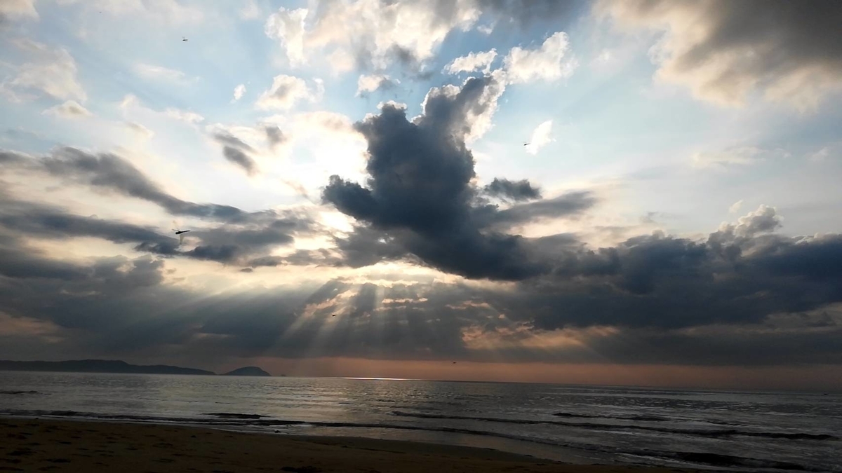 f:id:xMaiko:20210905094525j:plain