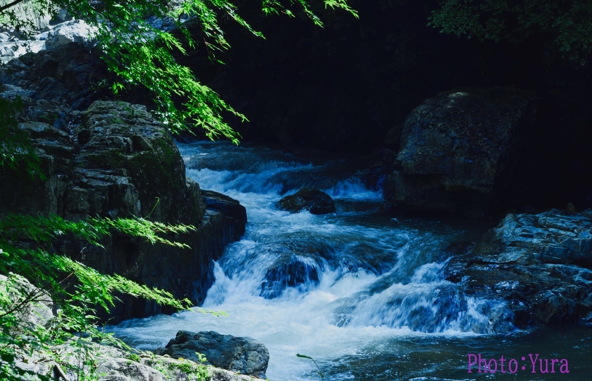 f:id:xYura:20200731113653j:plain f:id:xYura:20200731113653j:plain