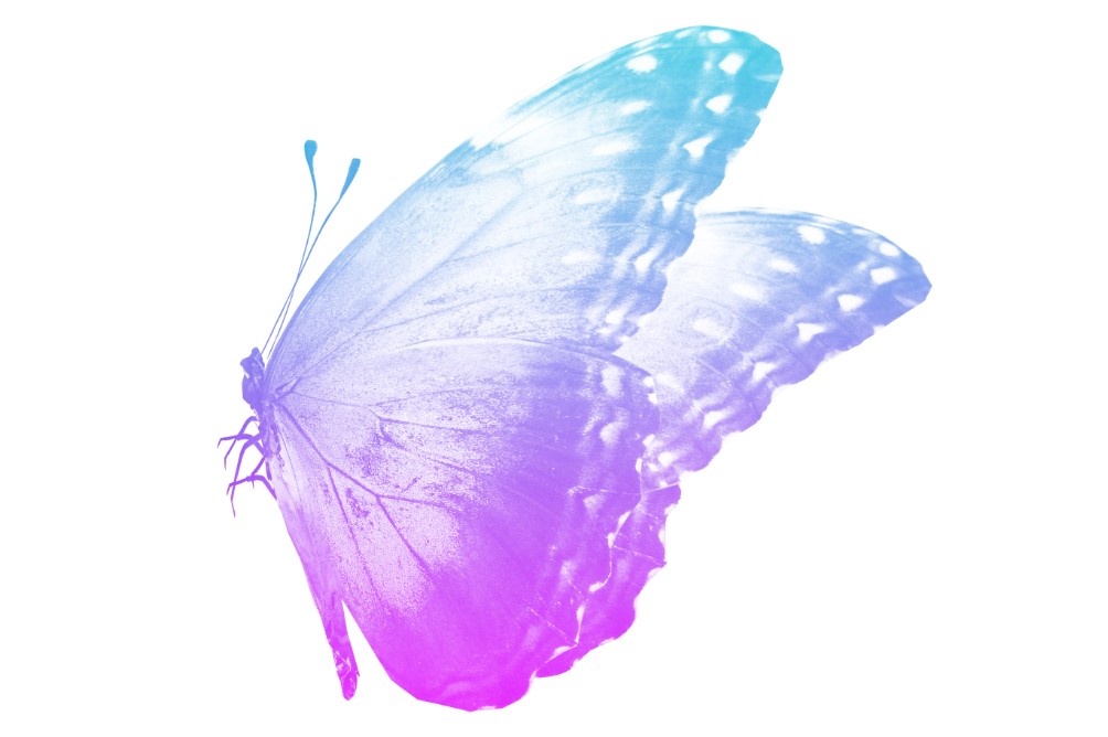 f:id:xYura:20200802141856j:plain f:id:xYura:20200802141856j:plain