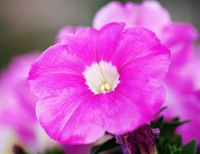 f:id:xYura:20200803122120j:plain f:id:xYura:20200803122120j:plain