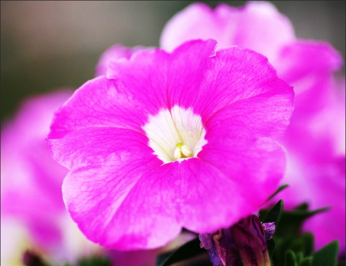 f:id:xYura:20200803122923j:plain f:id:xYura:20200803122923j:plain