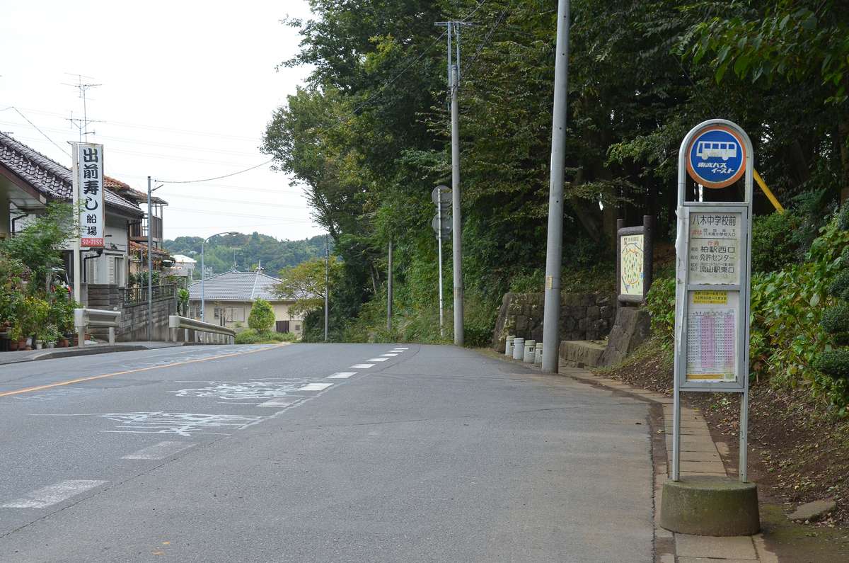 f:id:x_____ln:20201025190500j:plain