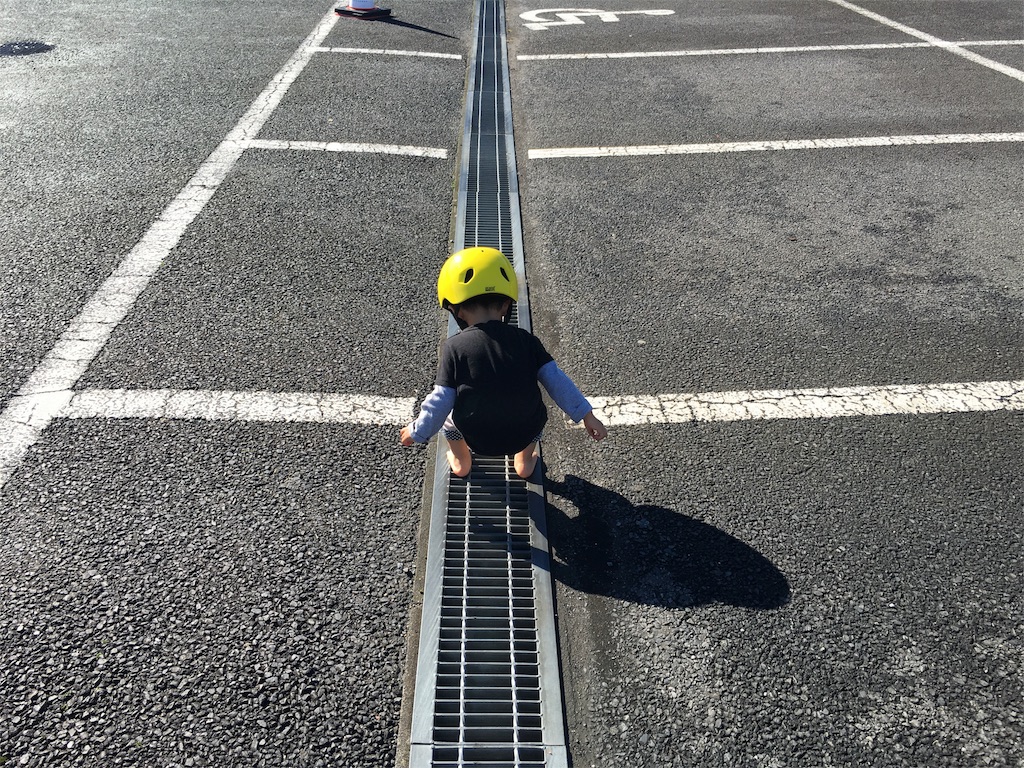 f:id:x_makocchi:20161031095522j:image