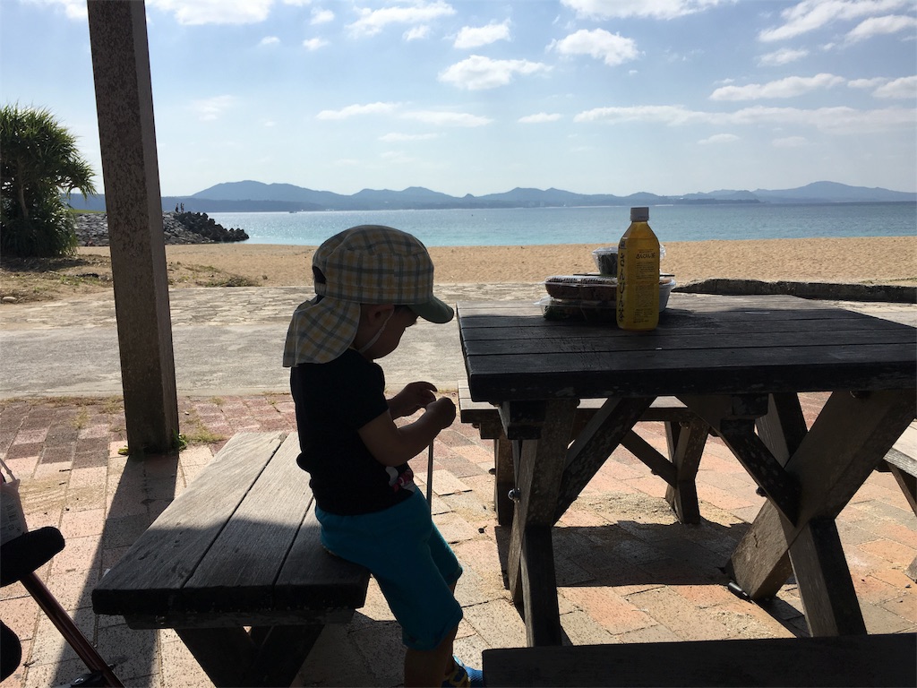 f:id:x_makocchi:20161115101342j:image