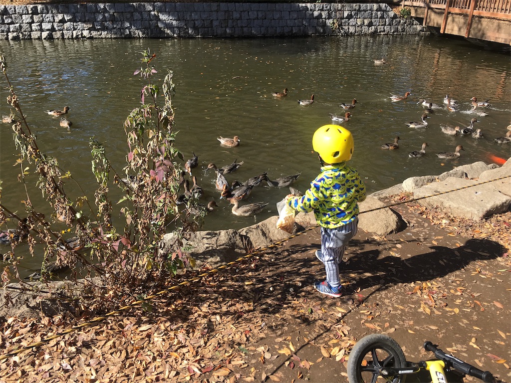 f:id:x_makocchi:20171113102230j:image f:id:x_makocchi:20171113102230j:image