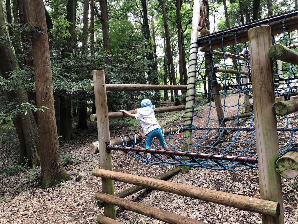 f:id:x_makocchi:20180623212935j:image