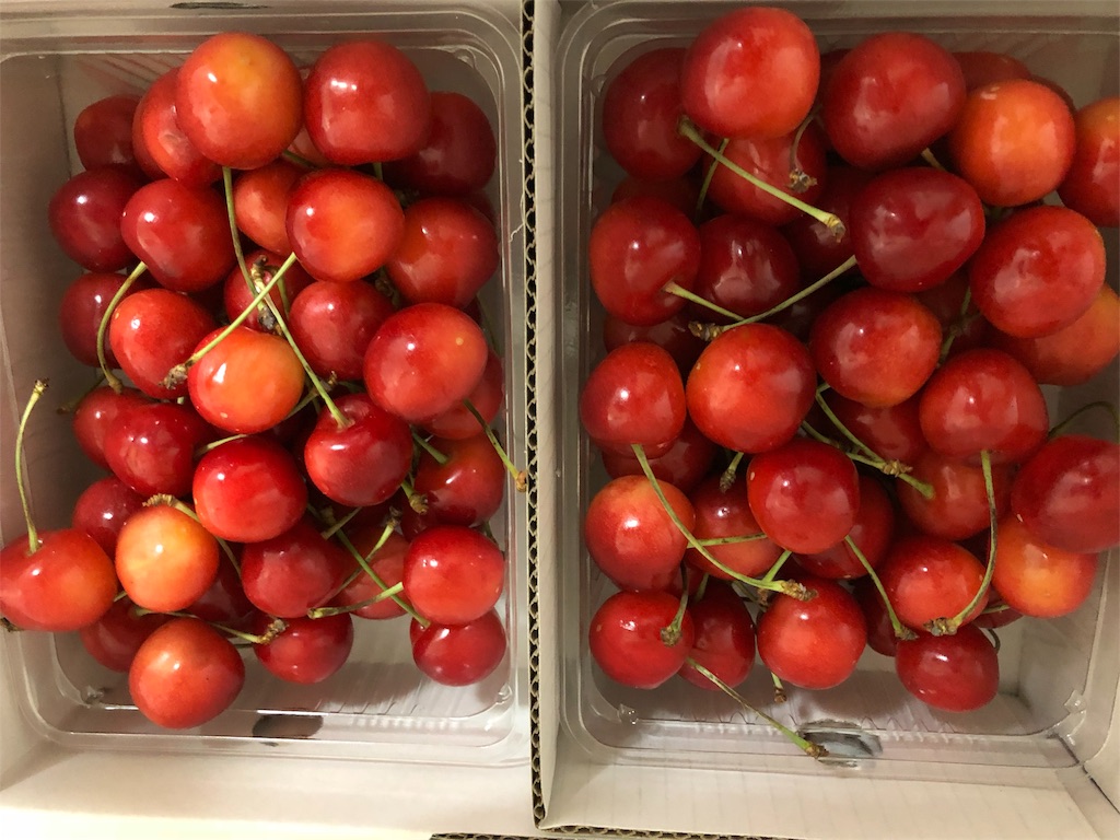 f:id:x_makocchi:20180623213234j:image