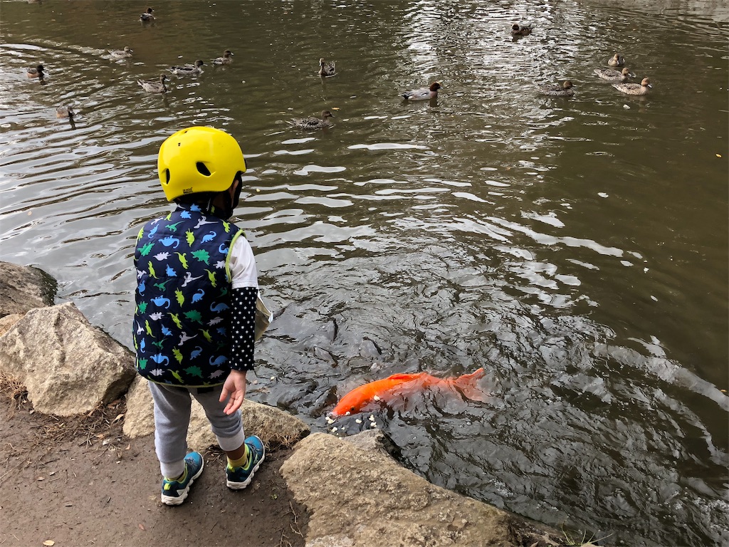 f:id:x_makocchi:20181105084406j:image