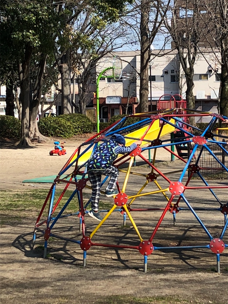 f:id:x_makocchi:20190309191828j:image f:id:x_makocchi:20190309191828j:image