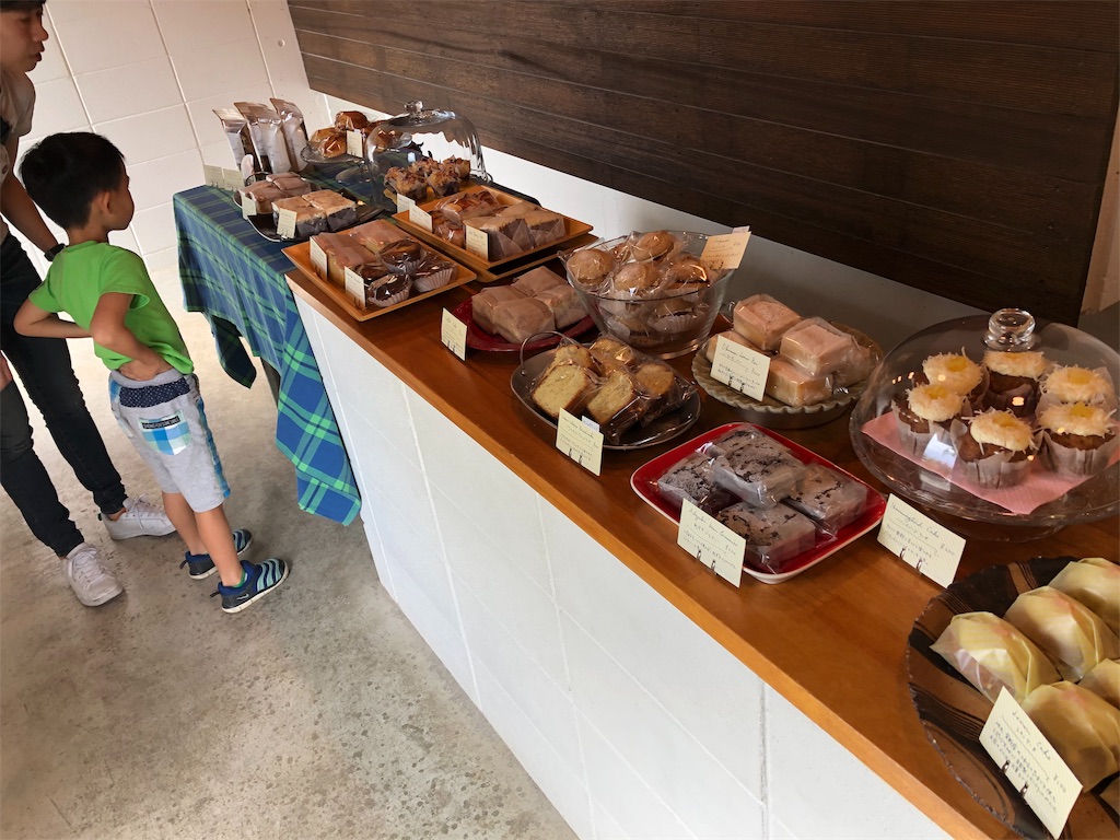 f:id:x_makocchi:20191109184951j:image