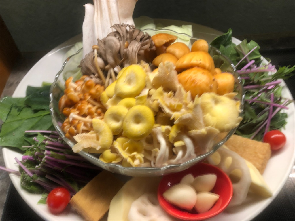 f:id:x_makocchi:20200216201430j:image