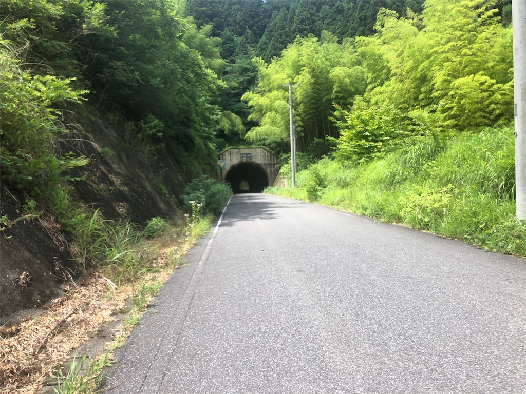 f:id:x_makocchi:20200622111441j:image f:id:x_makocchi:20200622111441j:image