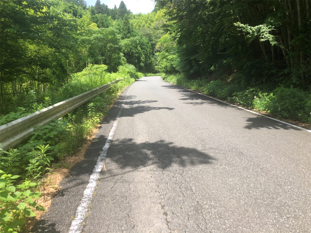 f:id:x_makocchi:20200622111456j:image f:id:x_makocchi:20200622111456j:image