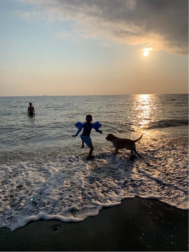 f:id:x_makocchi:20200819110945j:image