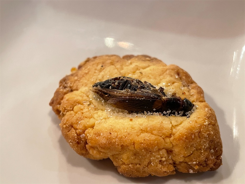 f:id:x_makocchi:20210325185459j:image