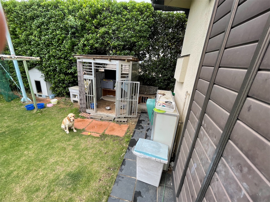 f:id:x_makocchi:20210517152935j:image