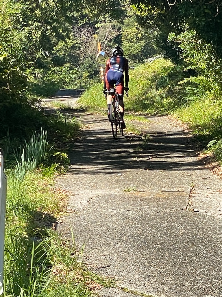 f:id:x_makocchi:20211101082038j:image