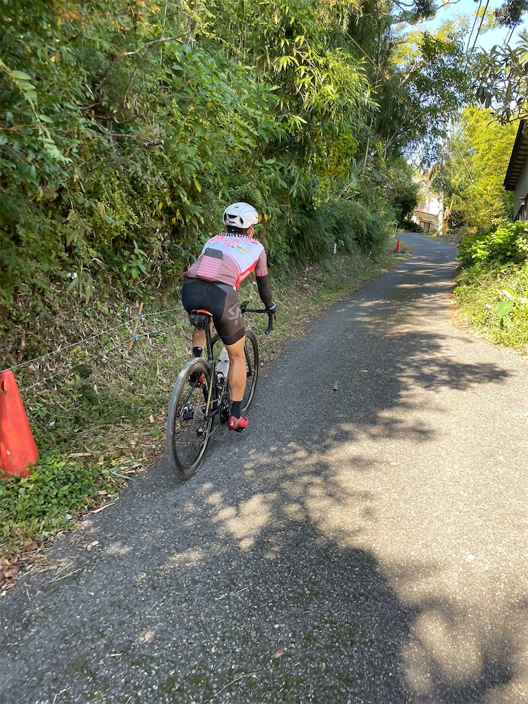 f:id:x_makocchi:20211101082046j:image