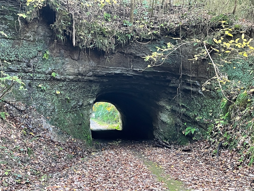 f:id:x_makocchi:20211206085744j:image f:id:x_makocchi:20211206085744j:image