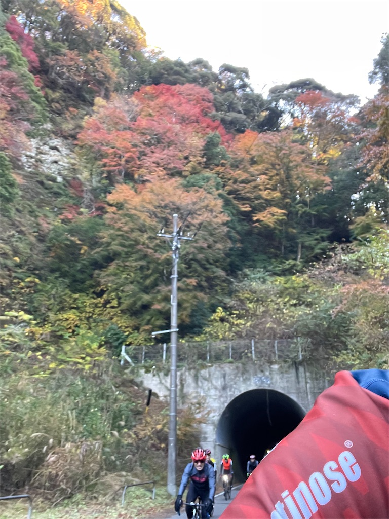 f:id:x_makocchi:20211206085747j:image f:id:x_makocchi:20211206085747j:image