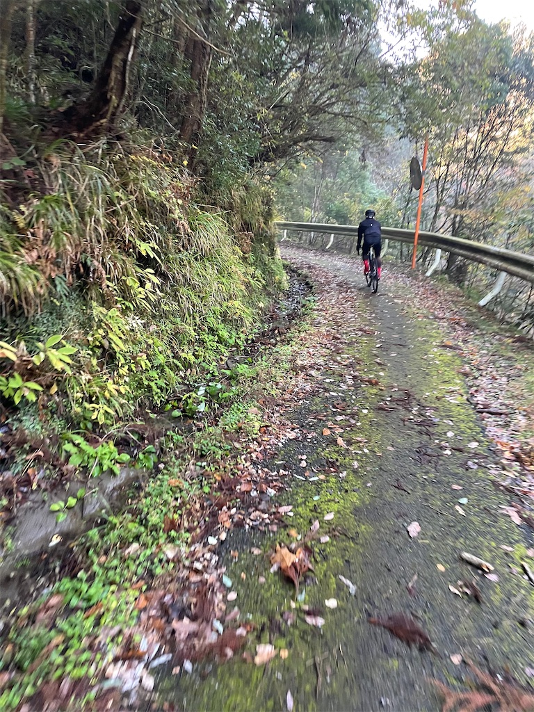 f:id:x_makocchi:20211206085815j:image f:id:x_makocchi:20211206085815j:image