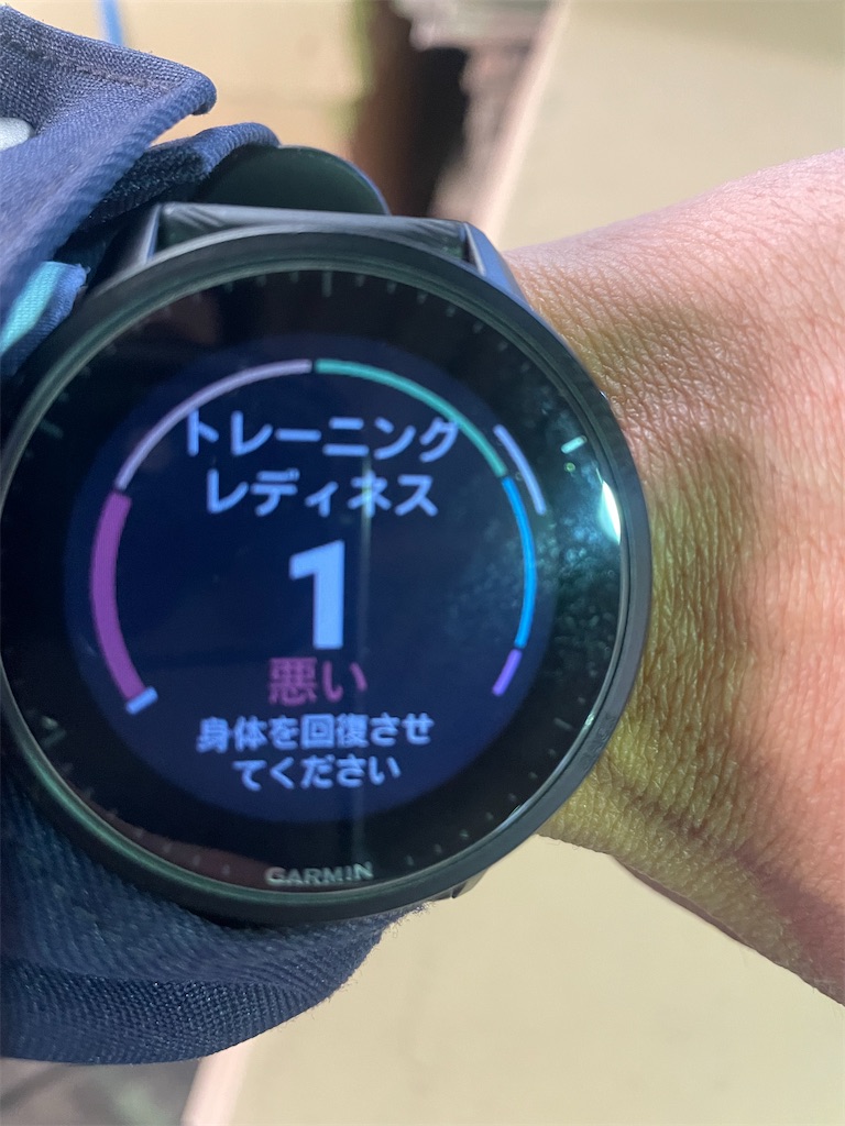 f:id:x_makocchi:20221226095224j:image