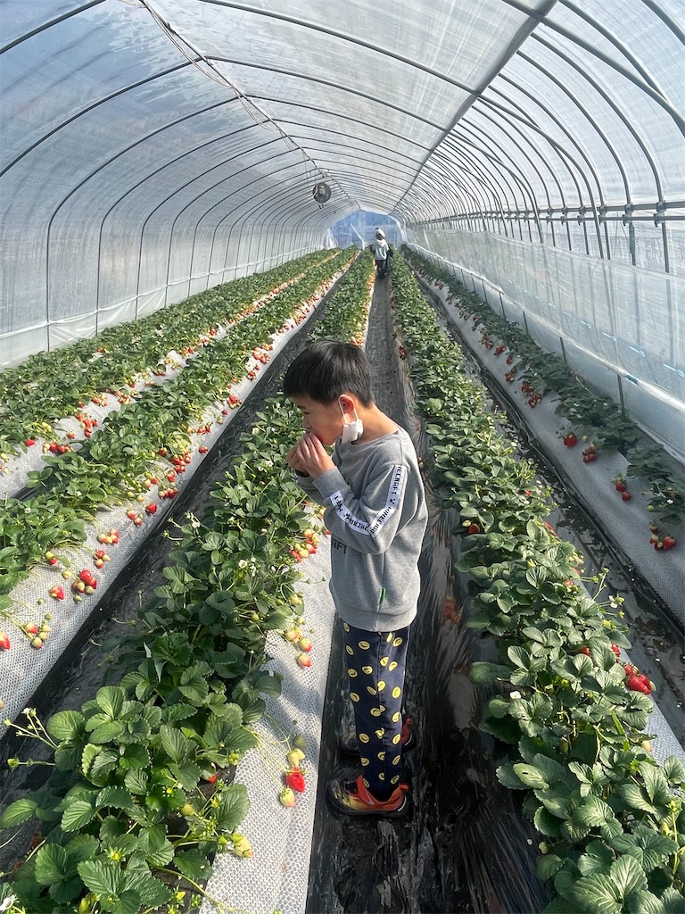 f:id:x_makocchi:20230214112957j:image