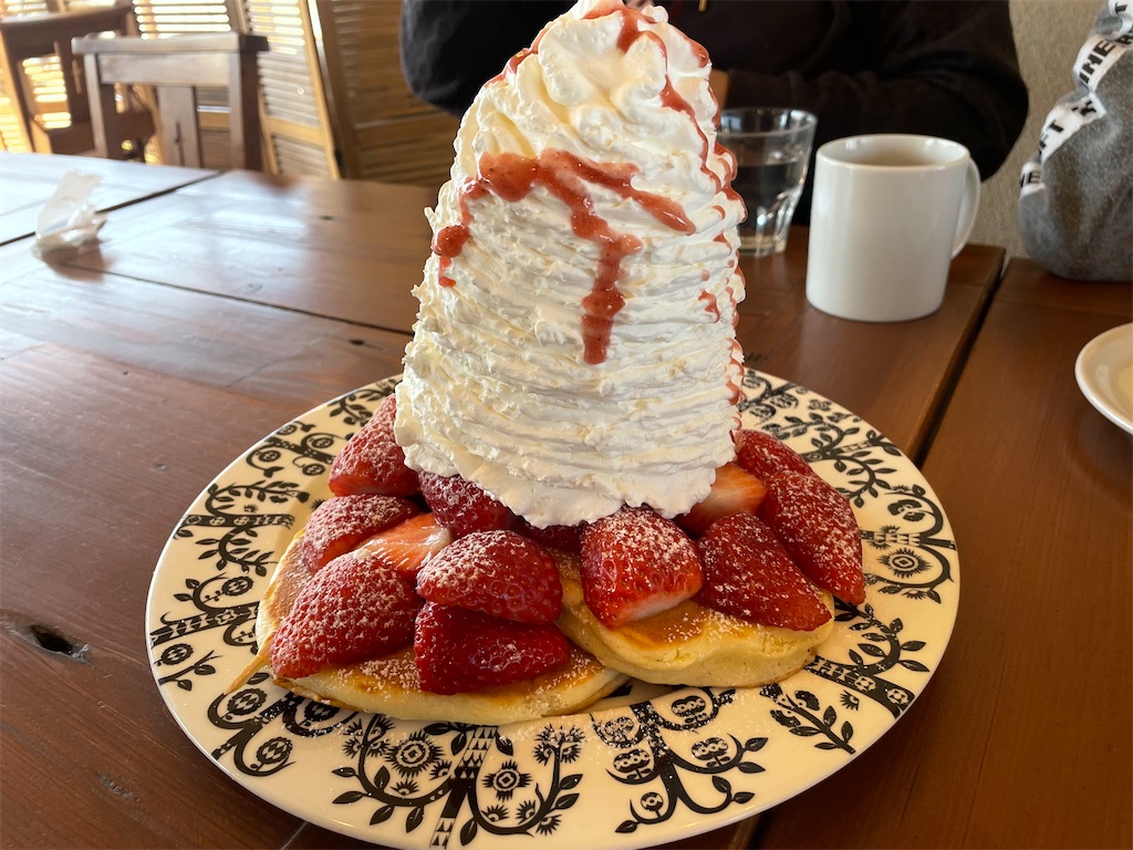 f:id:x_makocchi:20230214113017j:image