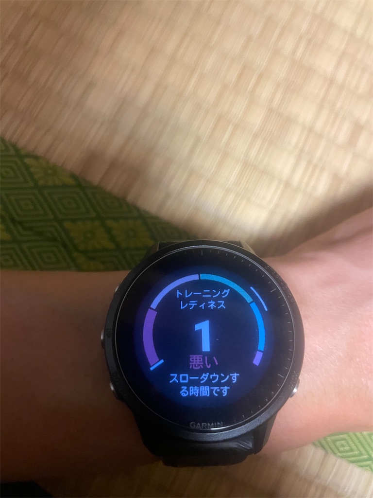 f:id:x_makocchi:20230425092915j:image f:id:x_makocchi:20230425092915j:image