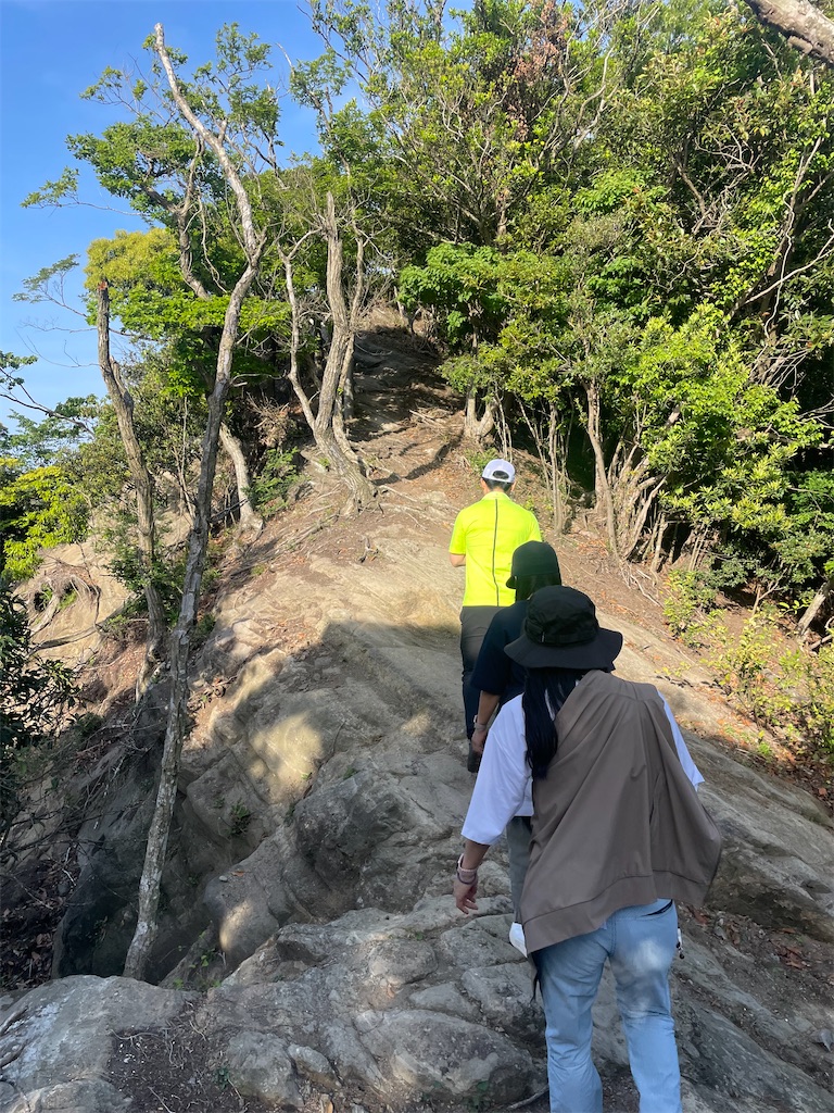 f:id:x_makocchi:20230509085828j:image