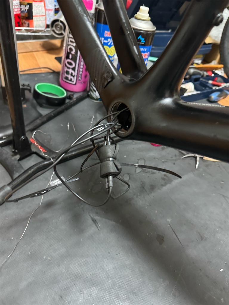 f:id:x_makocchi:20240301085924j:image f:id:x_makocchi:20240301085924j:image