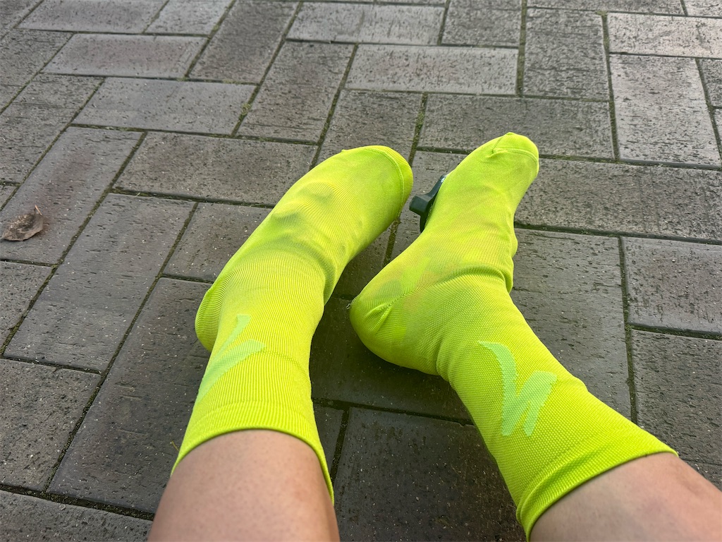 f:id:x_makocchi:20240318084300j:image