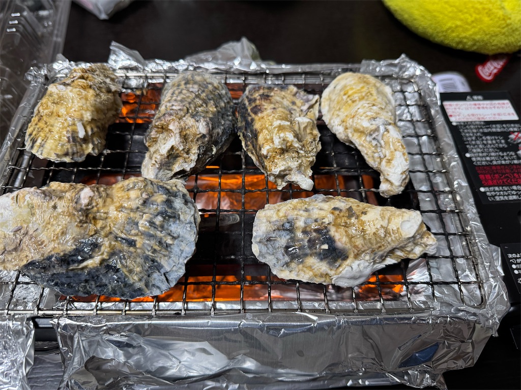 f:id:x_makocchi:20241231090914j:image