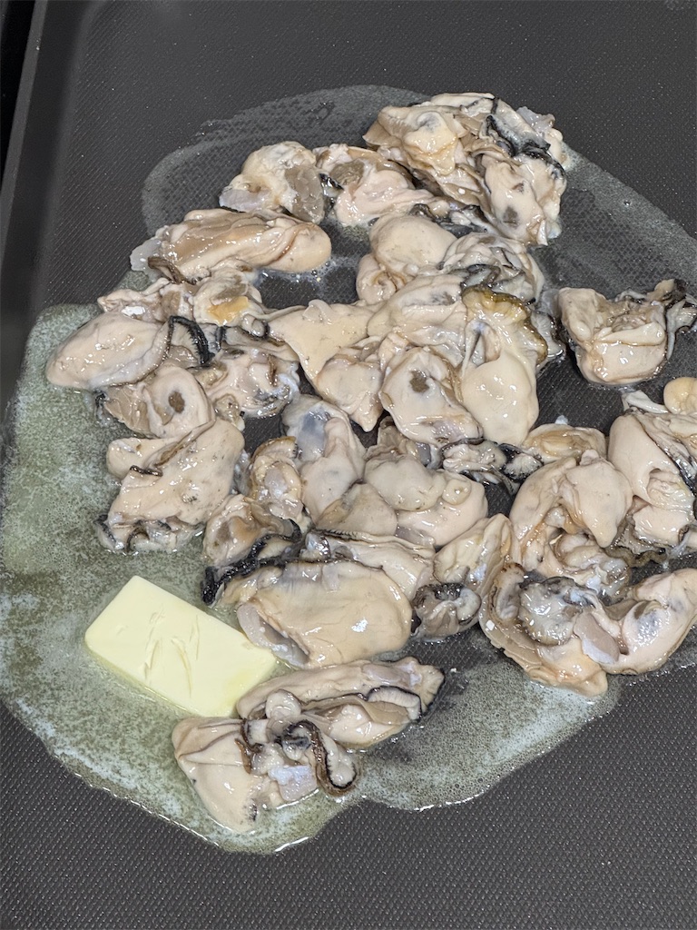 f:id:x_makocchi:20241231090929j:image