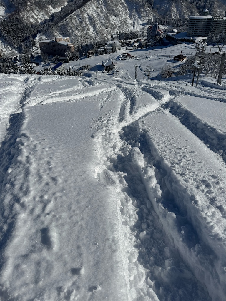 f:id:x_makocchi:20250118171623j:image f:id:x_makocchi:20250118171623j:image