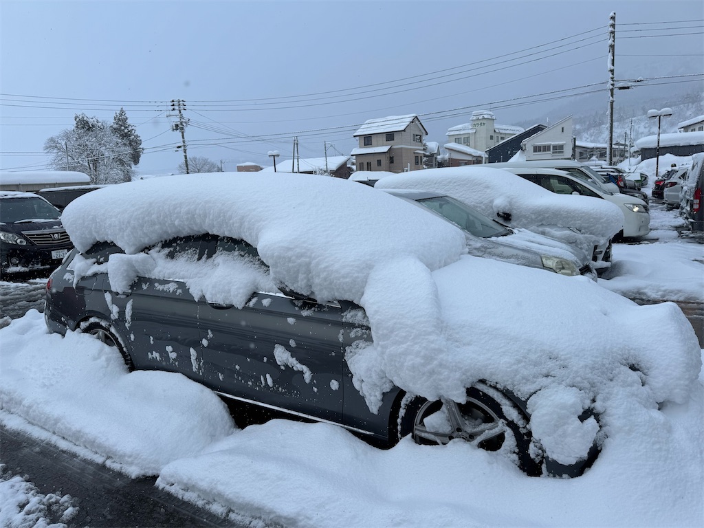 f:id:x_makocchi:20250118171947j:image f:id:x_makocchi:20250118171947j:image