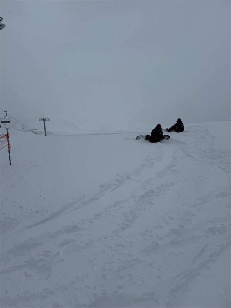 f:id:x_makocchi:20250118172016j:image f:id:x_makocchi:20250118172016j:image