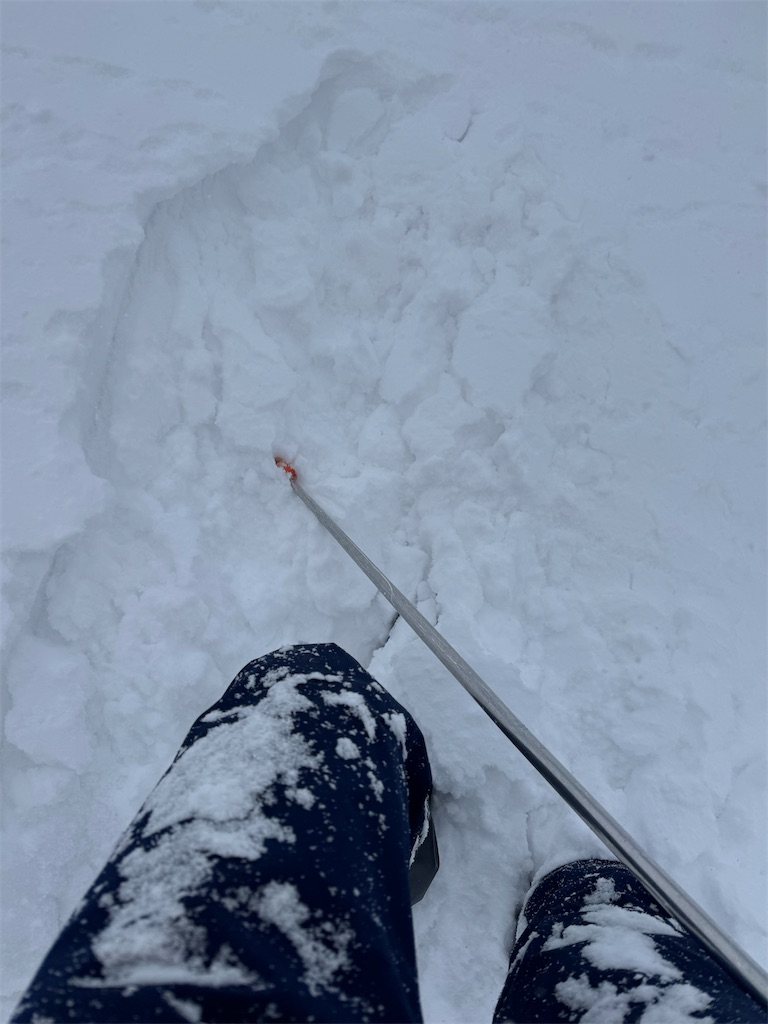 f:id:x_makocchi:20250118172019j:image f:id:x_makocchi:20250118172019j:image