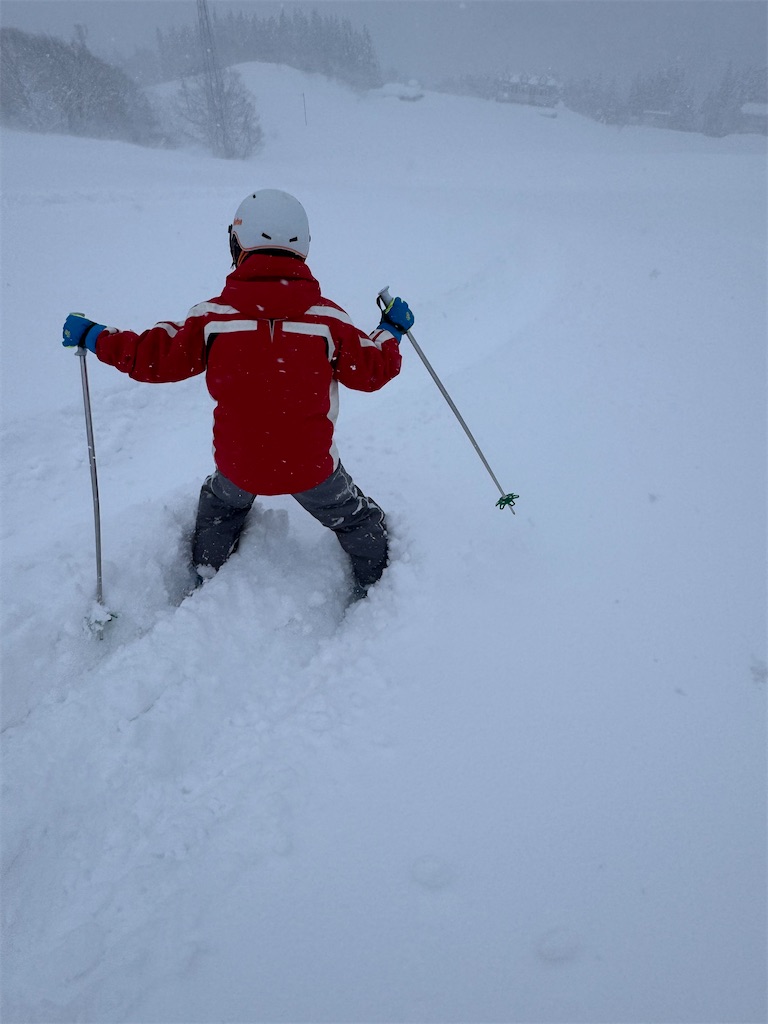 f:id:x_makocchi:20250118172042j:image f:id:x_makocchi:20250118172042j:image